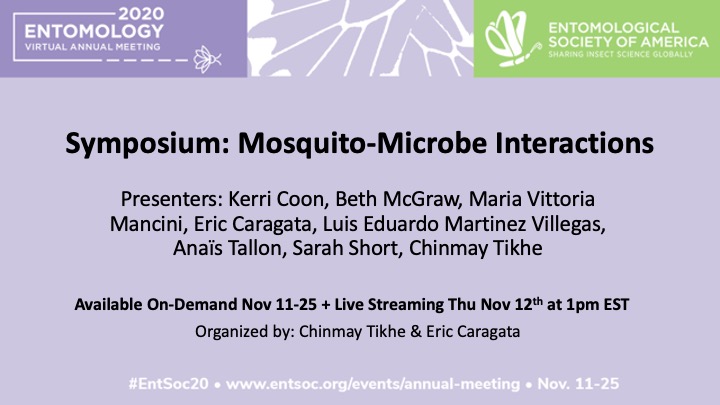 EntsocAmerica: RT @caragata_eric: Attending #EntSoc20? Interested in hearing talented scientists discuss their research on mosquito-microbe interactions? Catch our symposium, with on-demand content + live panel. Speakers include: @labofshort @mavi_mancin…