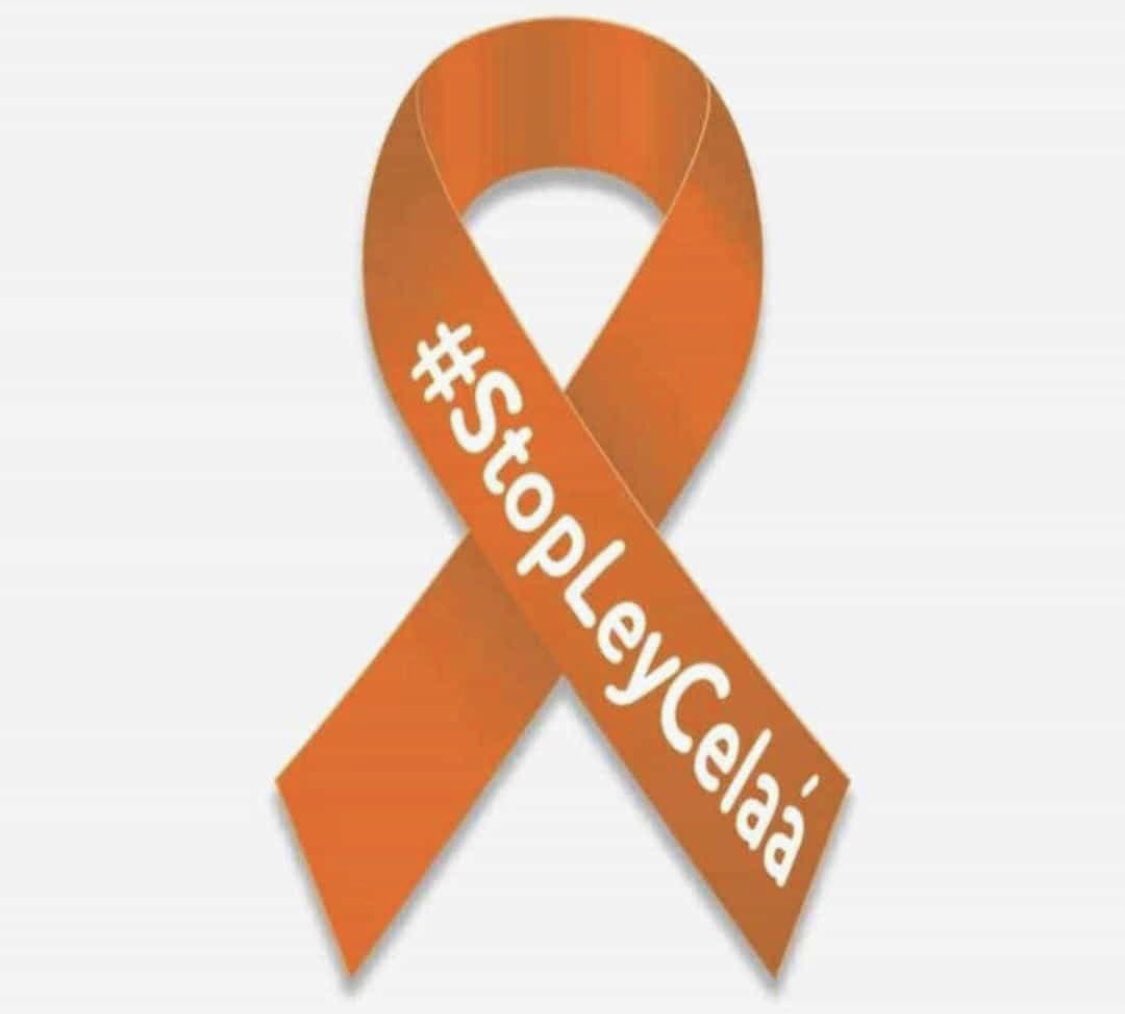 #StopLeyCelaá una ley que va en contra de la Constitución porque elimina el castellano como lengua vehicular, ataca a la concertada, y se quiere cargar los colegios de educación especial es una ley sectaria y sin consenso.  #Masplurales🧡l