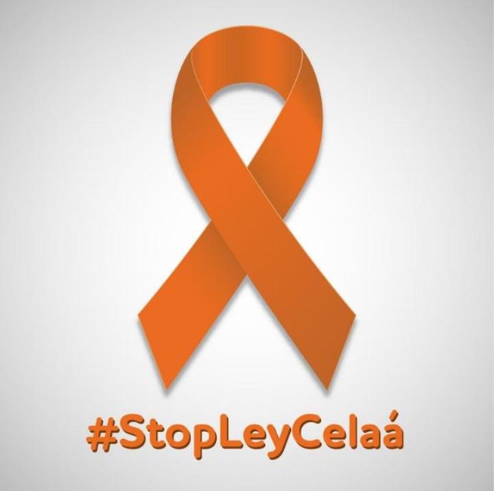 Quiero elegir la educación de mis hijas. Quiero libertad, quiero diálogo, quiero consenso, quiero diversidad, quiero inclusión. Hay que escuchar a todas las opciones porque la Comunidad Educativa es plural y cabemos todos. Es un derecho. #MasPlurales #StopLeyCelaa