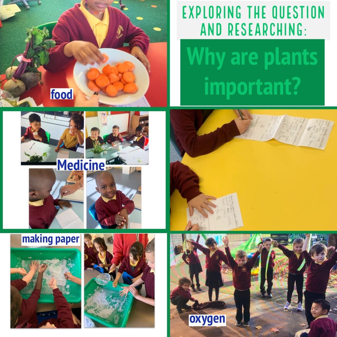 StAlbansSchool1's tweet photo. #SACPSFP had a full day understanding why plants are important. Reading information texts and acting out all the roles plants play in our lives🌱We even had a go making paper and learning how we can help plants. Da iawn pawb🌟 https://t.co/wJ7chv7RMt