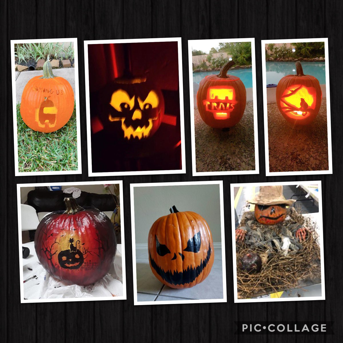 TravisHSLibrary's tweet photo. We had some amazing entries for #PumpkinWars2020! I’m so proud of our tigers!
#TeenLibraries #HighSchoolLibraries #Makerspaces #VirtualEvents @FBISD_Libraries @THS_Tigers https://t.co/JAZQU70xAM