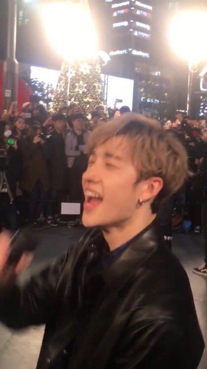 Favorite blurry photos of this bunny