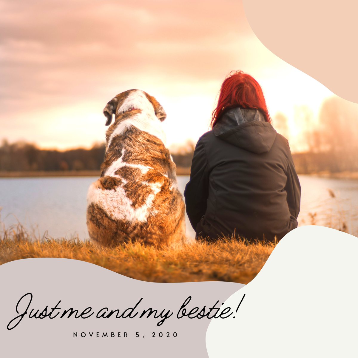 PetStopStore's tweet photo. To all of the redhead beauties...
HAPPY NATIONAL REDHEAD DAY!
#redheadday https://t.co/sTAoN56lGW