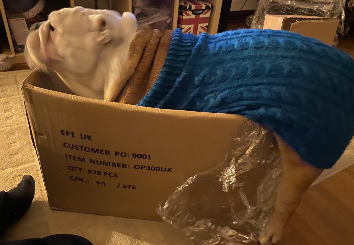 Henry’s now in his bubble wrap box for #PetSounds with #BillTurnbull thank you <a href="/ClassicFM/">Classic FM</a>