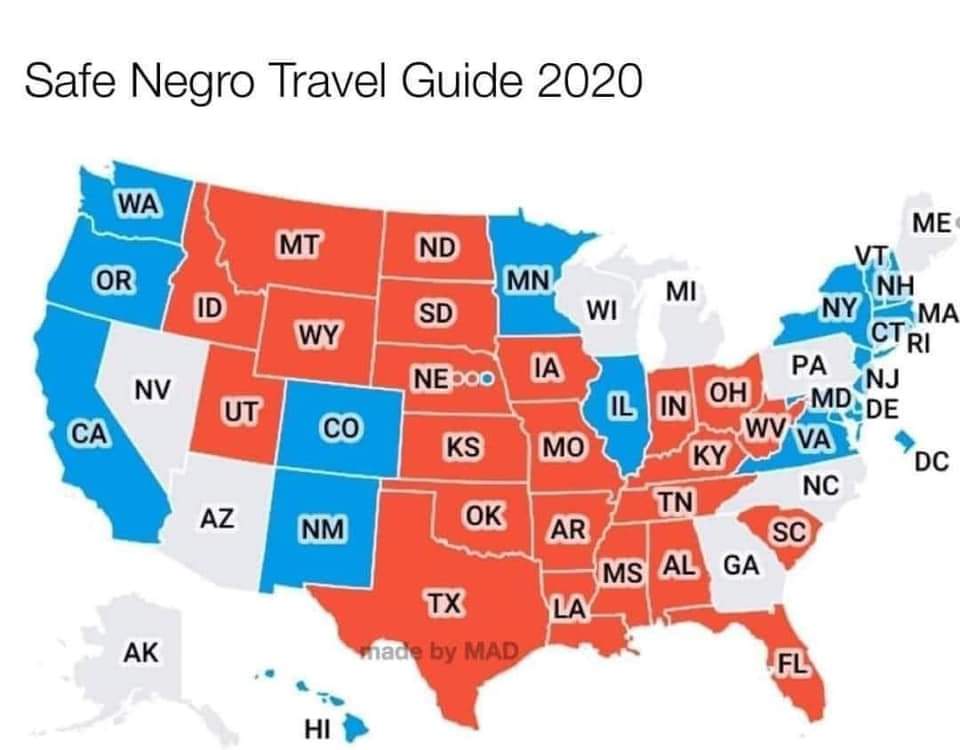 LlcSin's tweet photo. #LovecraftCountry #SafeNegroTravelGuide #Lol #TooFunny #ButTrue #2020Election https://t.co/XWDX942340
