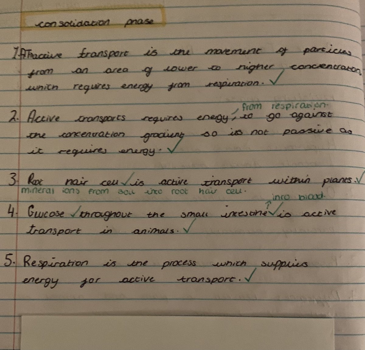 millie_bown's tweet photo. Actually proud of this work from Wednesday biology lesson with @MisstitleyS 😁 https://t.co/E7B2FjhtiZ