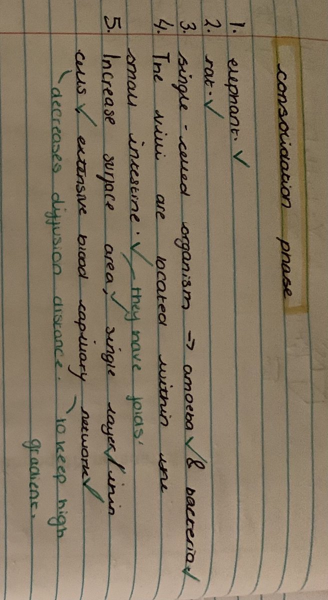 millie_bown's tweet photo. Actually proud of this work from Wednesday biology lesson with @MisstitleyS 😁 https://t.co/E7B2FjhtiZ