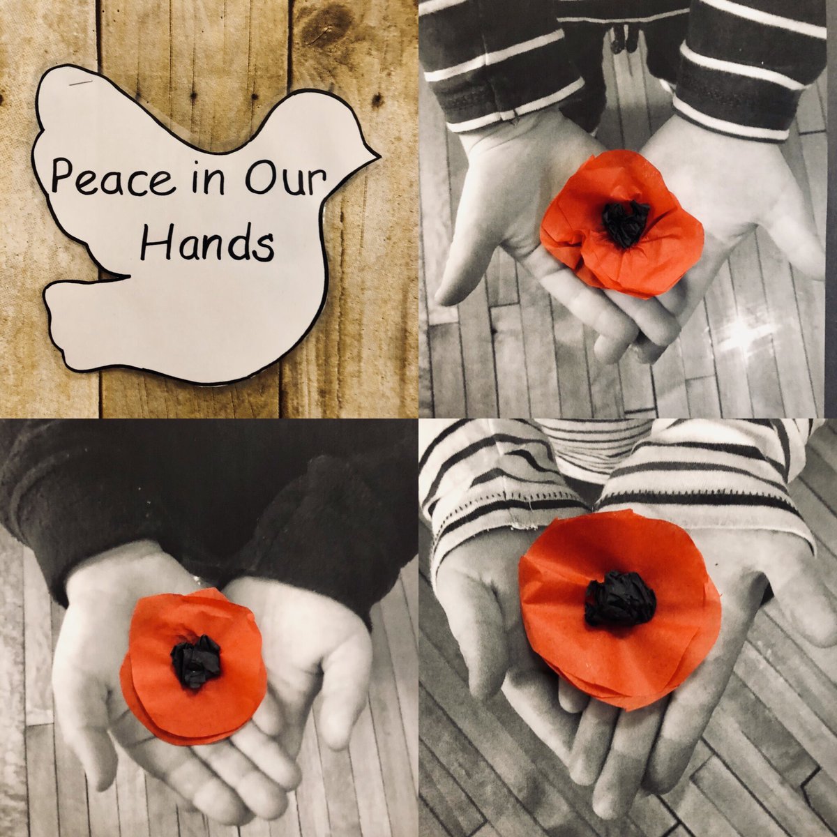 FirstAvePS's tweet photo. Our Kinders are preparing for Remembrance Day with these homemade poppies attached to a black and white print of theirs hands.  @OCDSB https://t.co/HvN5ChkLcM