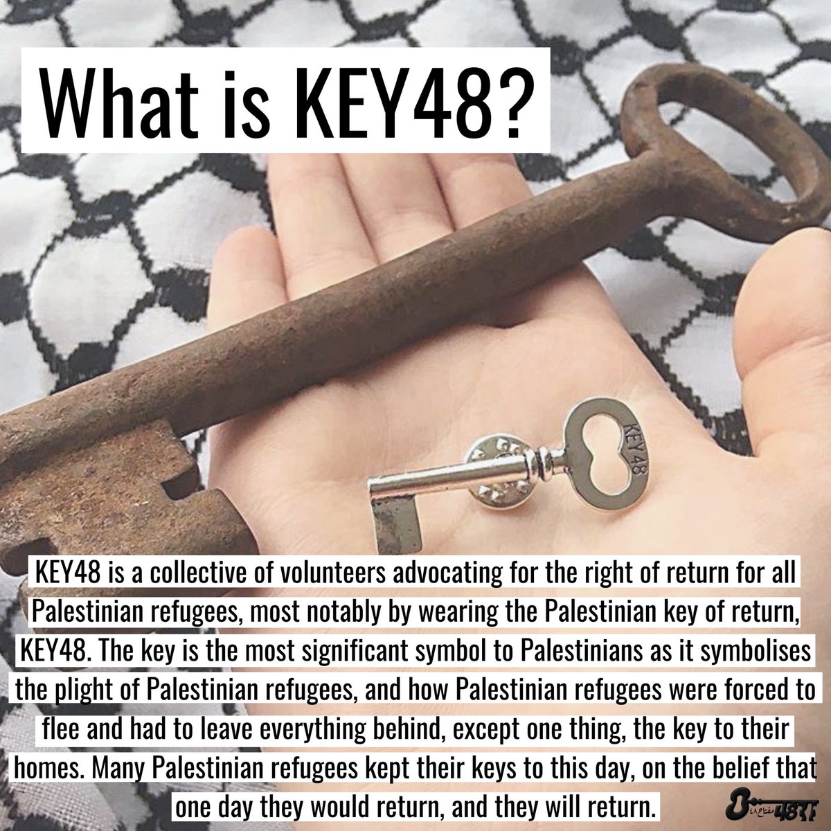 KEY48 - مفتاح ٤٨ tweet media