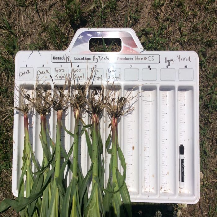 nanoyield's tweet photo. New blog article!  GAME ON 🌽 https://t.co/8aAzoxI6kC 
#nanoCS #nanotechnology #nanoshield #liquidfertilizer #infurrow #plant2021 https://t.co/OAPBRUoLzD