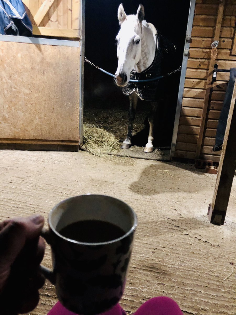 ABeautyRev's tweet photo. #classicfm  #petsounds #irishcoffee #exracehorse #Dezi ❤️ https://t.co/GkPCwG47zY