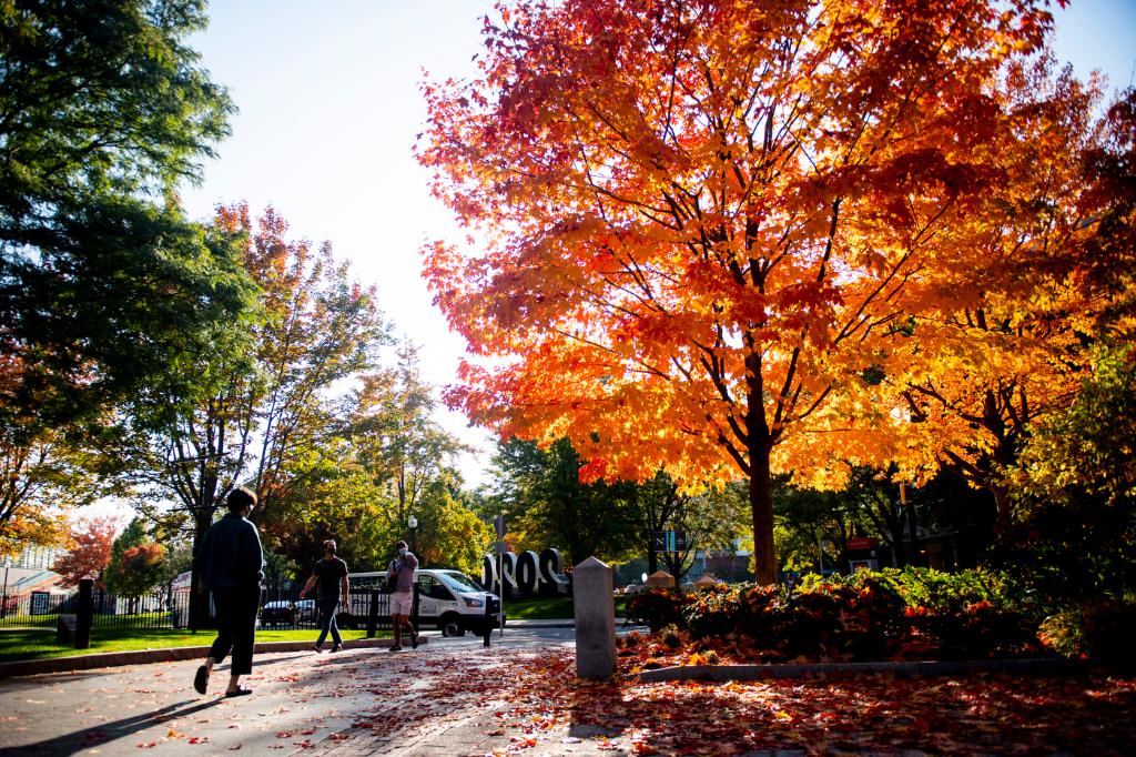 Northeastern's tweet photo. Take a look back at October through our 📸 lenses: https://t.co/iRgFahe3no https://t.co/okdNs1PXMW
