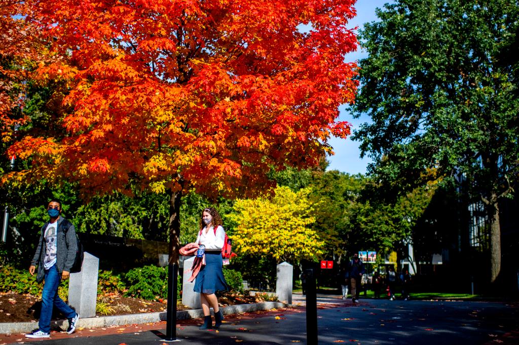 Northeastern's tweet photo. Take a look back at October through our 📸 lenses: https://t.co/iRgFahe3no https://t.co/okdNs1PXMW