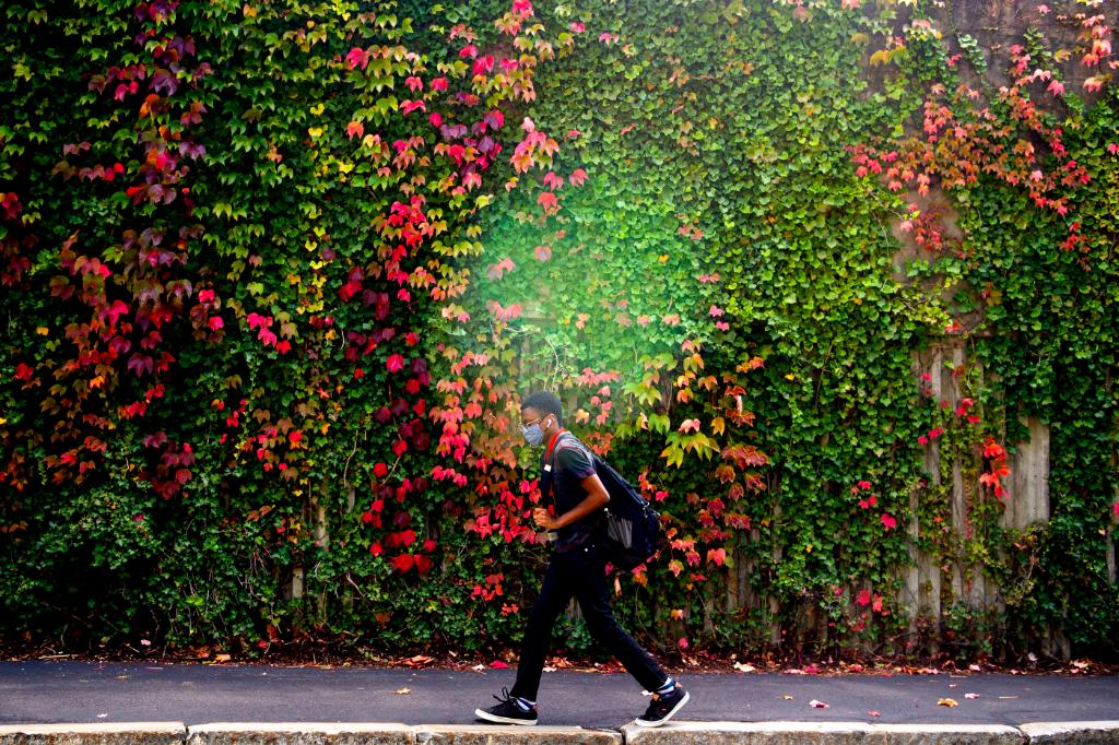 Northeastern's tweet photo. Take a look back at October through our 📸 lenses: https://t.co/iRgFahe3no https://t.co/okdNs1PXMW