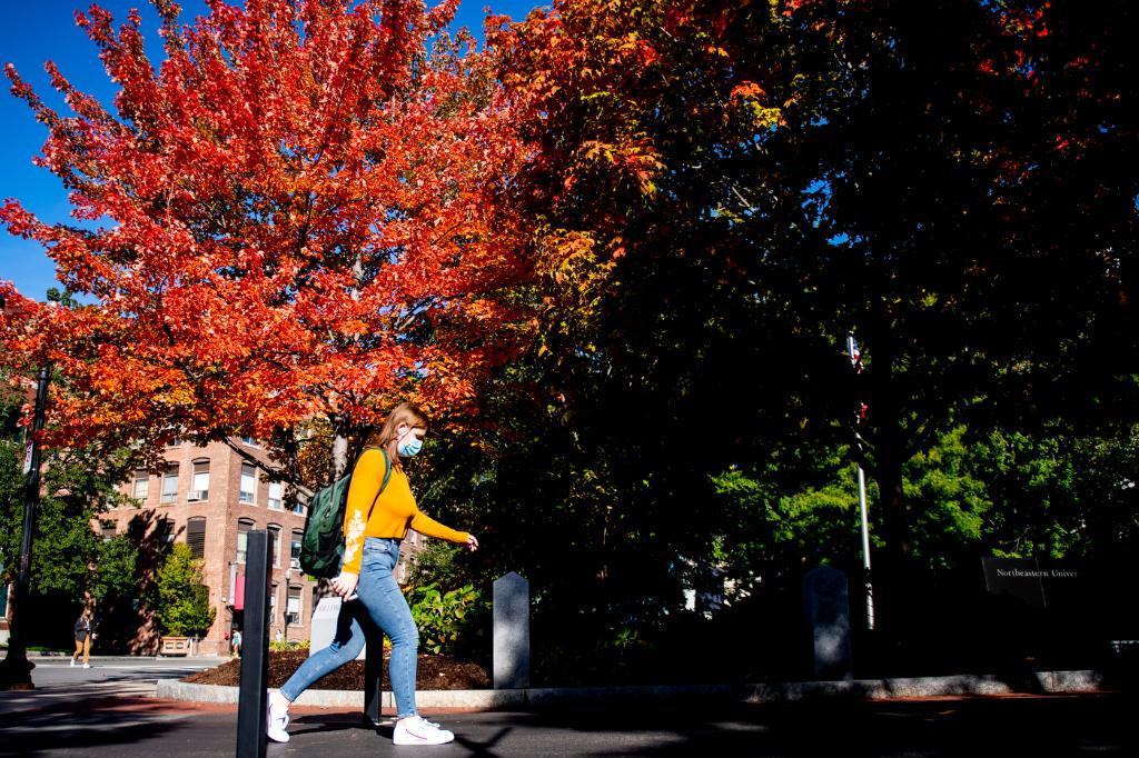 Northeastern's tweet photo. Take a look back at October through our 📸 lenses: https://t.co/iRgFahe3no https://t.co/okdNs1PXMW