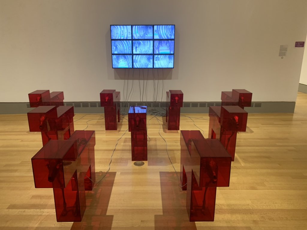 _Shanellxoxo's tweet photo. There are also a variety of kinetic sculptures to explore. #Kinaesthesia https://t.co/w4bHlKm81I