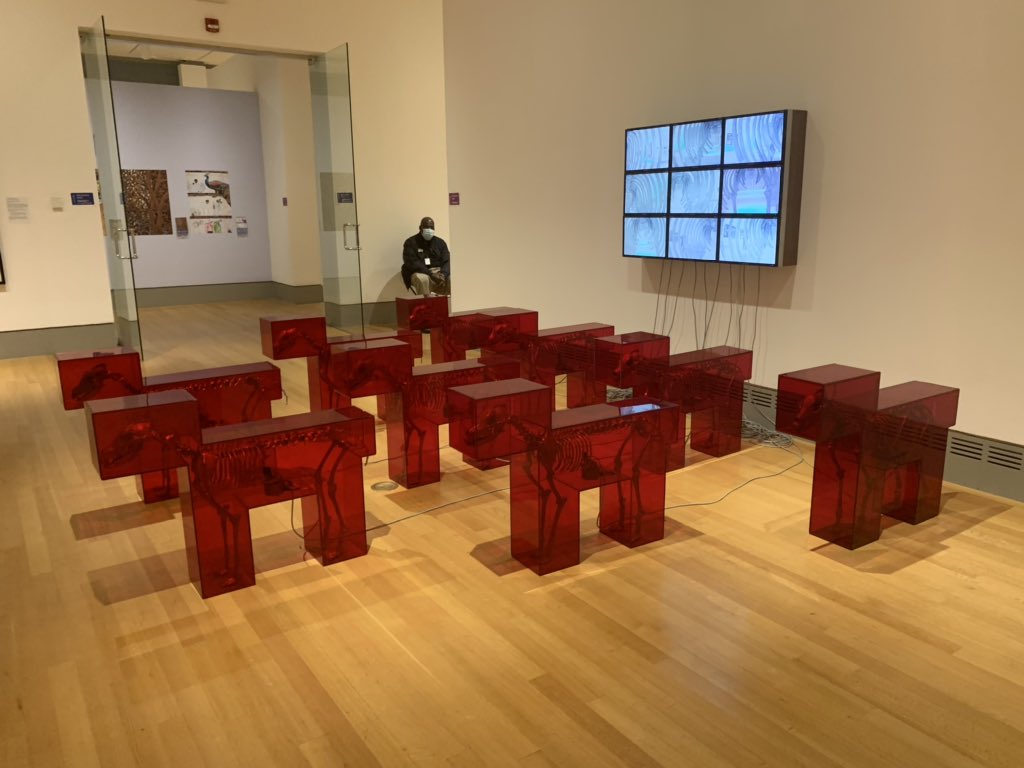 _Shanellxoxo's tweet photo. There are also a variety of kinetic sculptures to explore. #Kinaesthesia https://t.co/w4bHlKm81I