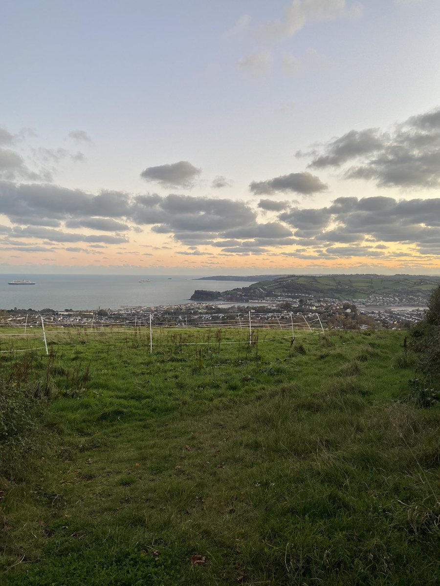Lovely walk after this afternoons seminar 🌳 #PUNC20 #DEVON