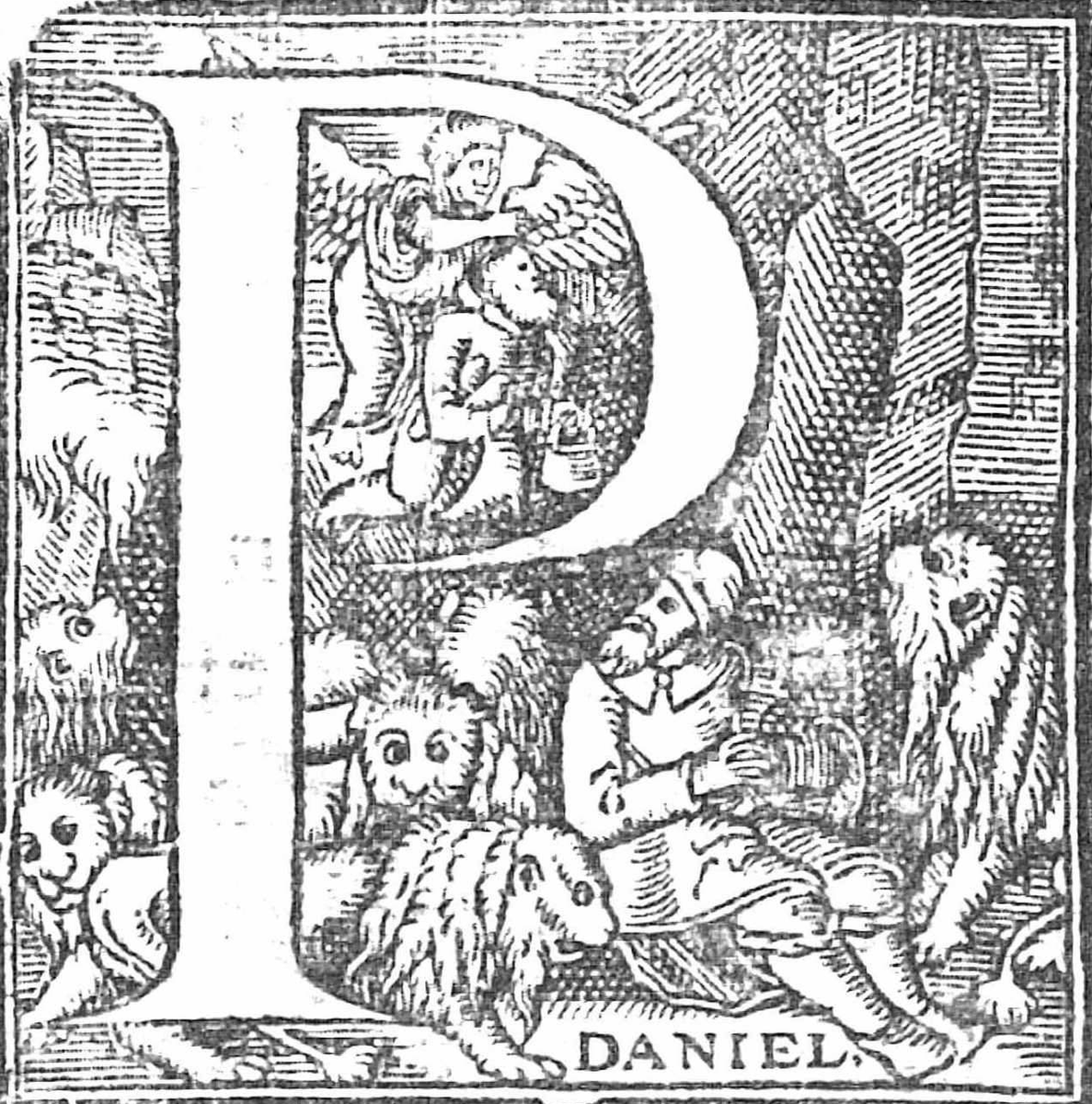 jrastiz's tweet photo. #Capitulares con pasajes bíblicos. En torno a 1570 emplearon Tomás Porralis de Saboya (en Pamplona) y Pedro Ocharte (en México) unas letras capitulares muy similares. Ambos procedían de Francia...seguiremos su pista🕵️. #Bibliografíamaterial https://t.co/o46qdg5jww