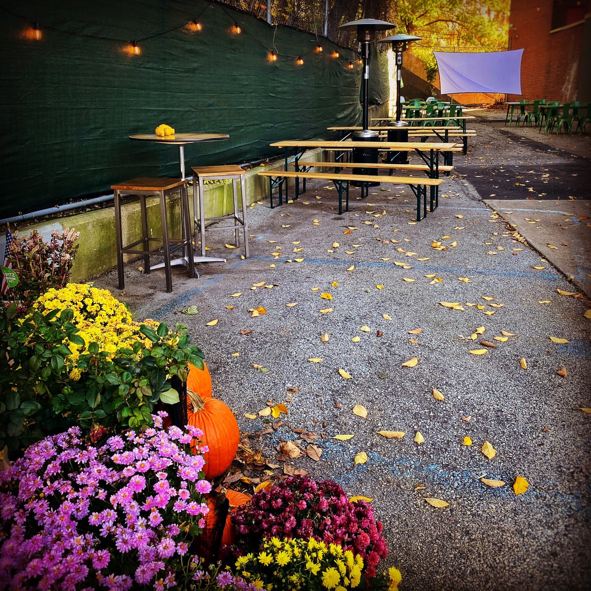 Liquid Art Barrel House tweet media