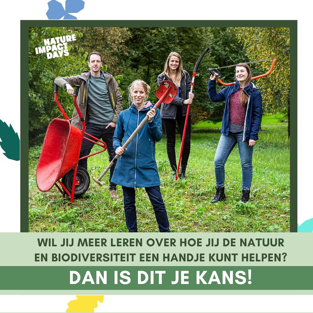 Lisa_Wassenaar's tweet photo. Wil jij leren hoe je de biodiversiteit in jouw omgeving een boost kunt geven? Meld je dan snel aan voor de Online #NatureImpactDays op zaterdag 7 November: The Crazy Green Challenge! 🌿 Zie de link in bio van @natureimpactdays 🌟 https://t.co/LtkQPl0lGw