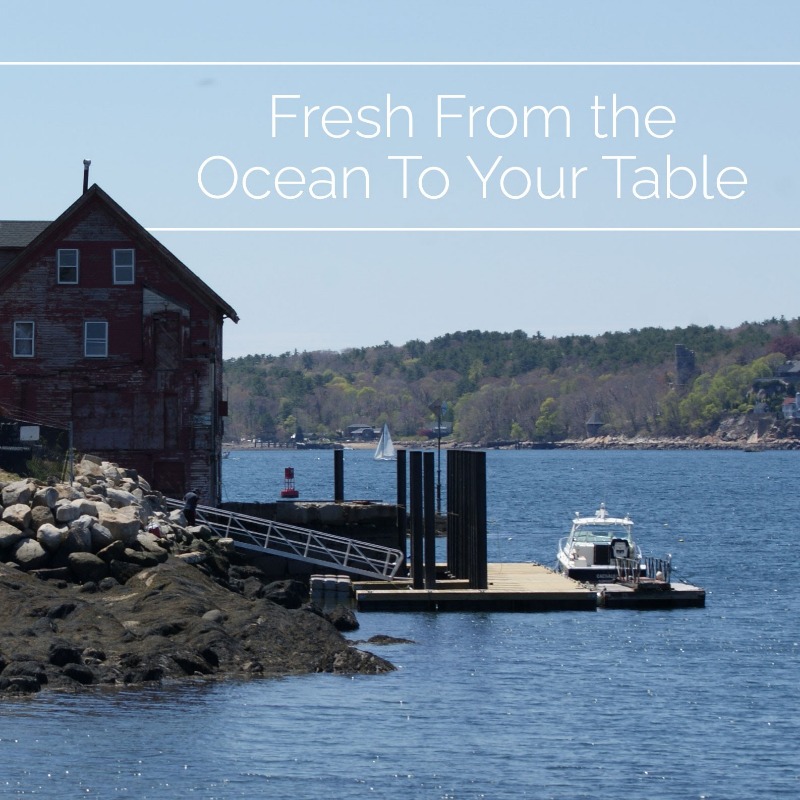 OceansTable's tweet photo. The moment the captains arrive at our facility, which is located right on Gloucester Harbor, our highly trained sous chefs fillet the fish, which will then be immediately and precisely packaged and shipped with care to your address.

#oceanstable #oceantotable #freshfish
