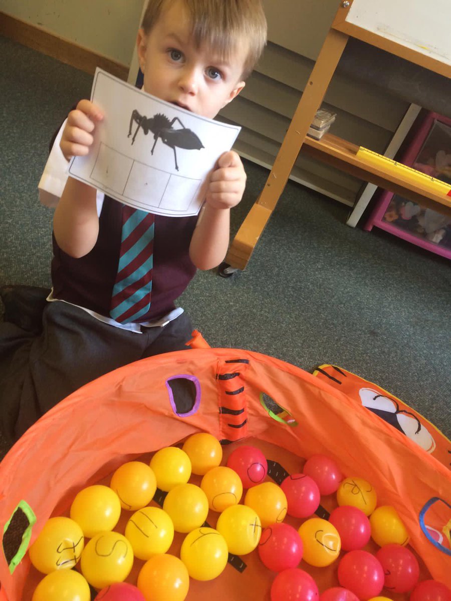 stpeterspsna's tweet photo. Our P1 children are so skilled in blending and segmenting words.  They use techniques learned in dedicated daily phonics sessions to encode and decode all around the classroom! #phonics #readingisforever @anneglennie https://t.co/WMVd5sM48T
