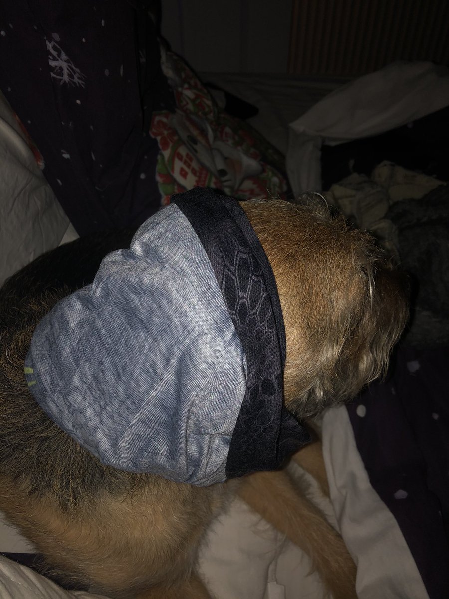 Anyone I know who has a dog and they are terrified of the fireworks try the snood trick. Worked within 2 minutes he’s gone from panting , scratching wanting to his to now snoring. I’ve doubled it up
