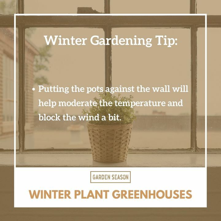 Q: We live in an apartment and are five stories up. We have a balcony with several potted shrubs in large pots. We don’t have room for them indoors. The weather started getting cold and windy, so we moved the pots against the wall. We built a plastic wal… bit.ly/winter-greenho…