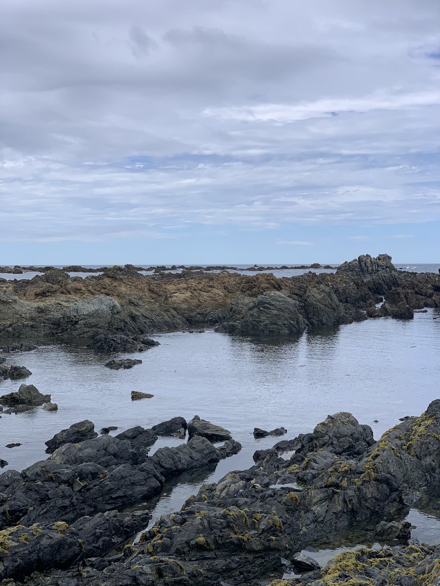 On2Science's tweet photo. Some of our team joined a group student citizen scientists ‘into the field’ to observe some great #CitizenScience in action. What a great day for #science! #CitSci @ChristensonDi @marinemetre2 https://t.co/SfSIXHmFqk