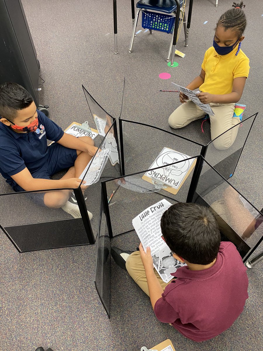 LauriCurrie's tweet photo. Our first attempt at partner work! They are so excited to be working with each other. 😍 https://t.co/Pmrbrf9vD5