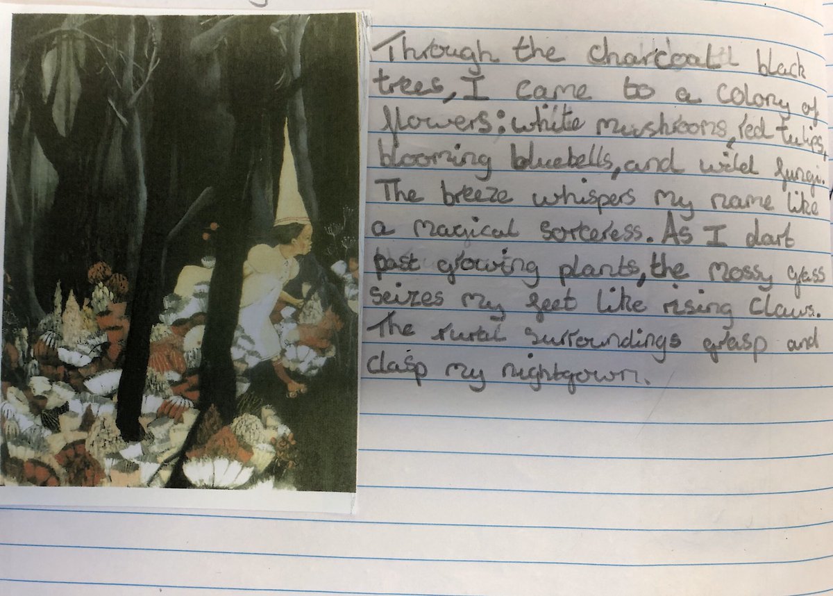 StephenConnor7's tweet photo. What happens when children who read a lot start to write a lot https://t.co/3ONuzD34br