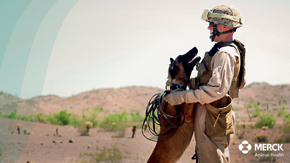 Merck Animal Health tweet media