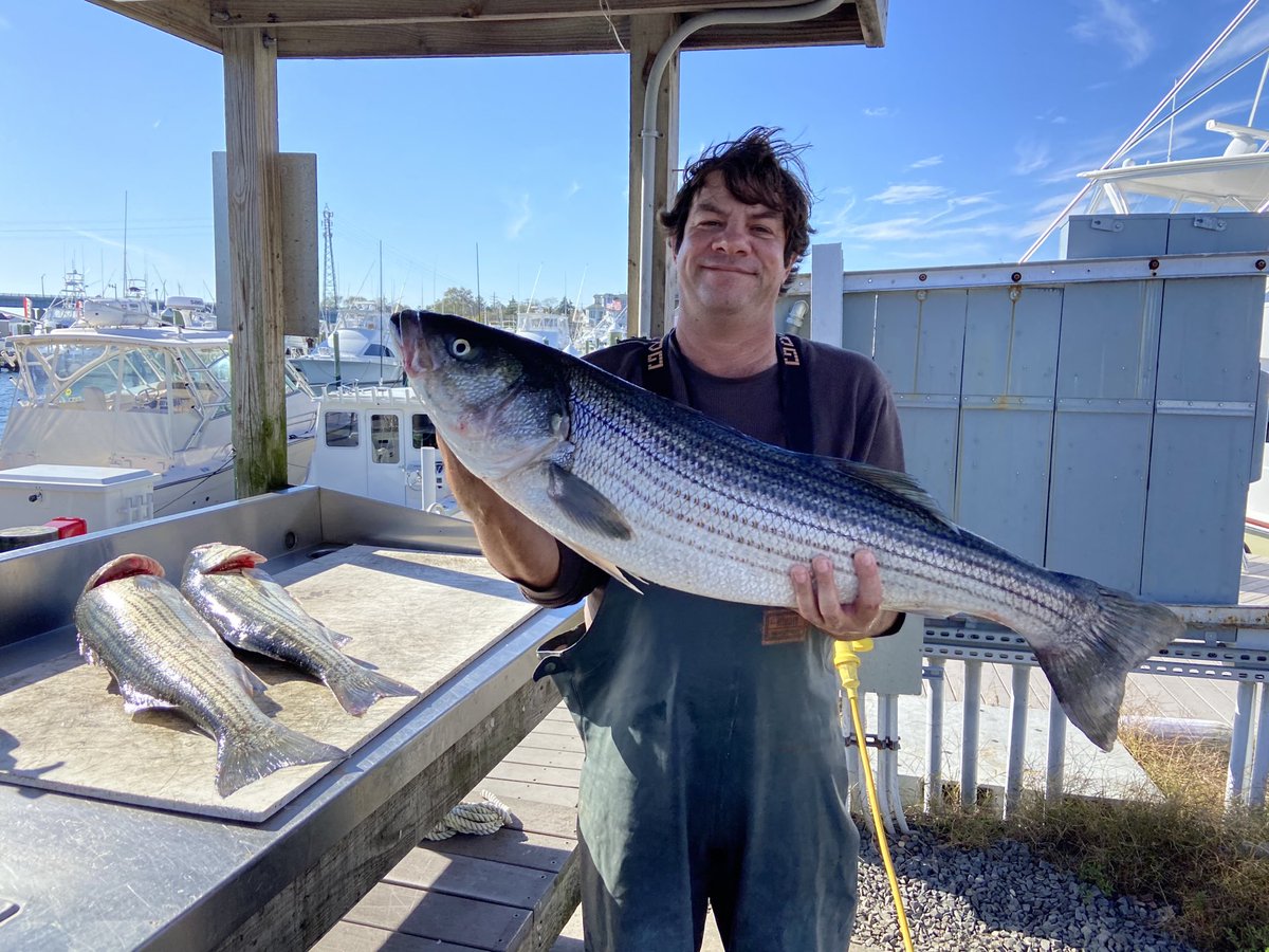 The fall Striped Bass migration in NJ is something sacred and I dream about it all year.