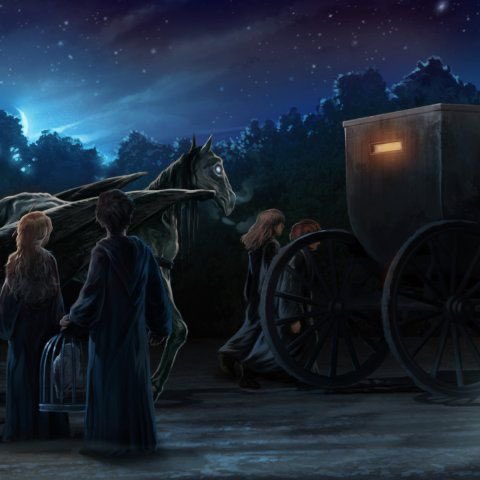 soulofstories_'s tweet photo. which magical creature would you like to learn more about?

• thestrals
• dementors
• centaurs
• dragons https://t.co/kzYGOC2kwa