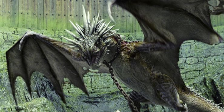 soulofstories_'s tweet photo. which magical creature would you like to learn more about?

• thestrals
• dementors
• centaurs
• dragons https://t.co/kzYGOC2kwa