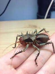 🕸️Azure Mist🕸 tweet media