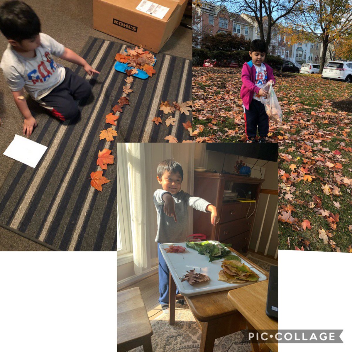 MrsAsma_PreK's tweet photo. Collecting leaves, counting leaves, sorting leaves & leaf rubbings! We are having so much fun while learning about Fall 🍁!! #seasonalchanges #prekscientists @EC_FCPS @FCPSPreKEHS @FCPSRegion1 @Clearview_ES https://t.co/LOOENqNUSv