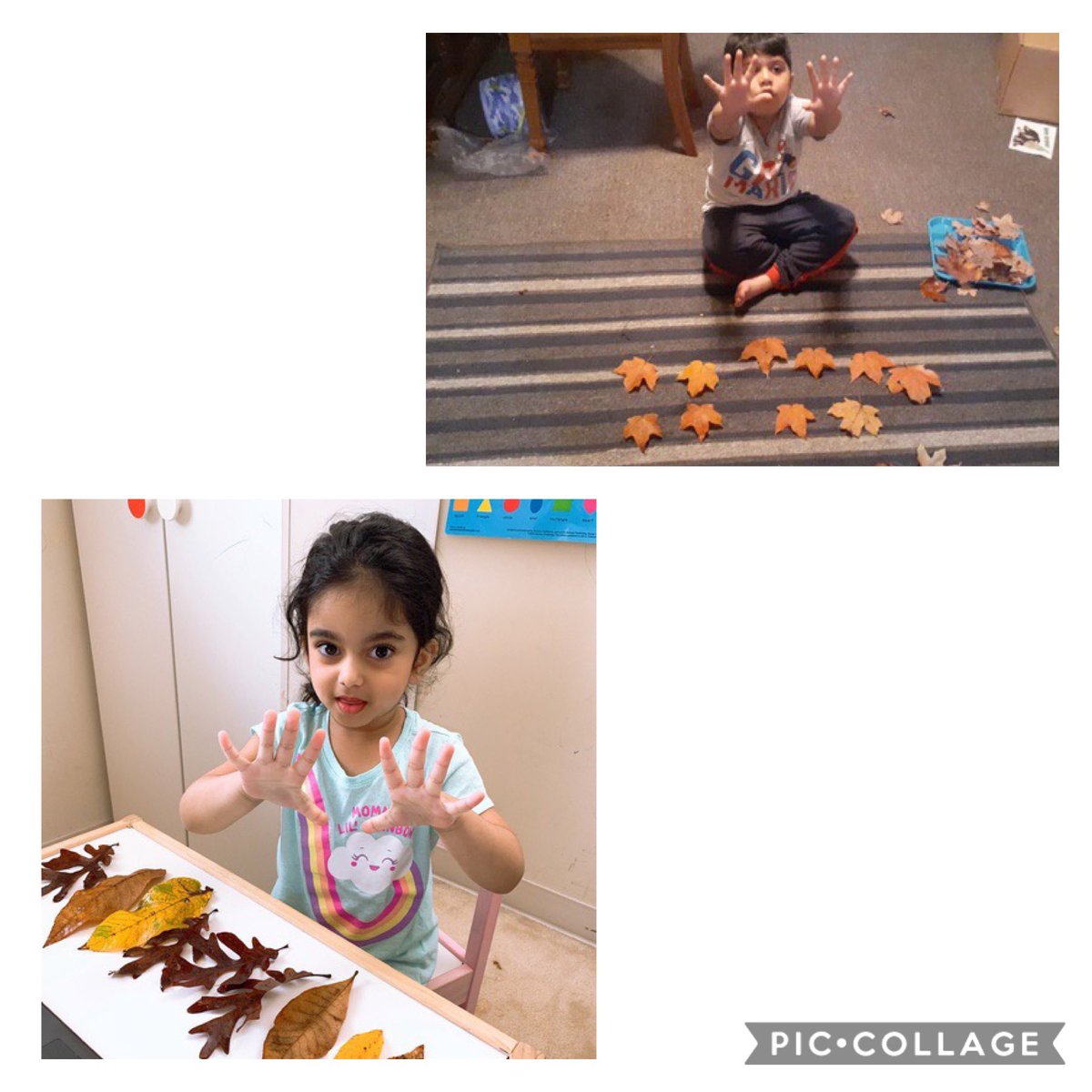 MrsAsma_PreK's tweet photo. Collecting leaves, counting leaves, sorting leaves & leaf rubbings! We are having so much fun while learning about Fall 🍁!! #seasonalchanges #prekscientists @EC_FCPS @FCPSPreKEHS @FCPSRegion1 @Clearview_ES https://t.co/LOOENqNUSv