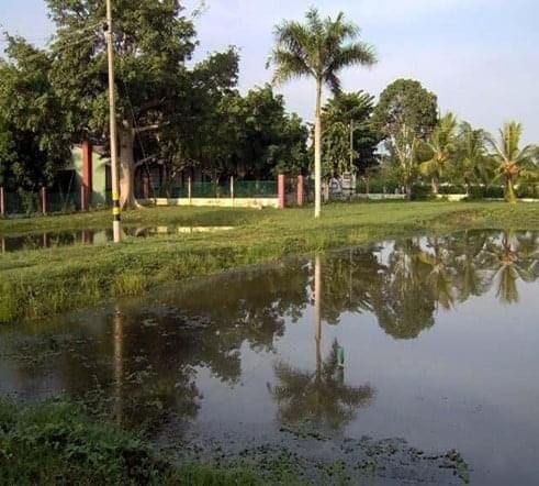 Codesco2's tweet photo. #Tbt Estación piscícola Institución Educativa Agropecuaria José María Herrera (Pivijay - Magdalena)
Hace mas de 15 años se rediseñó con el propósito de mejorar la seguridad alimentaria de pequeños productores agropecuarios mediante siembra de alevinos en jagüeyes de sus parcelas. https://t.co/jGH64L0d5U