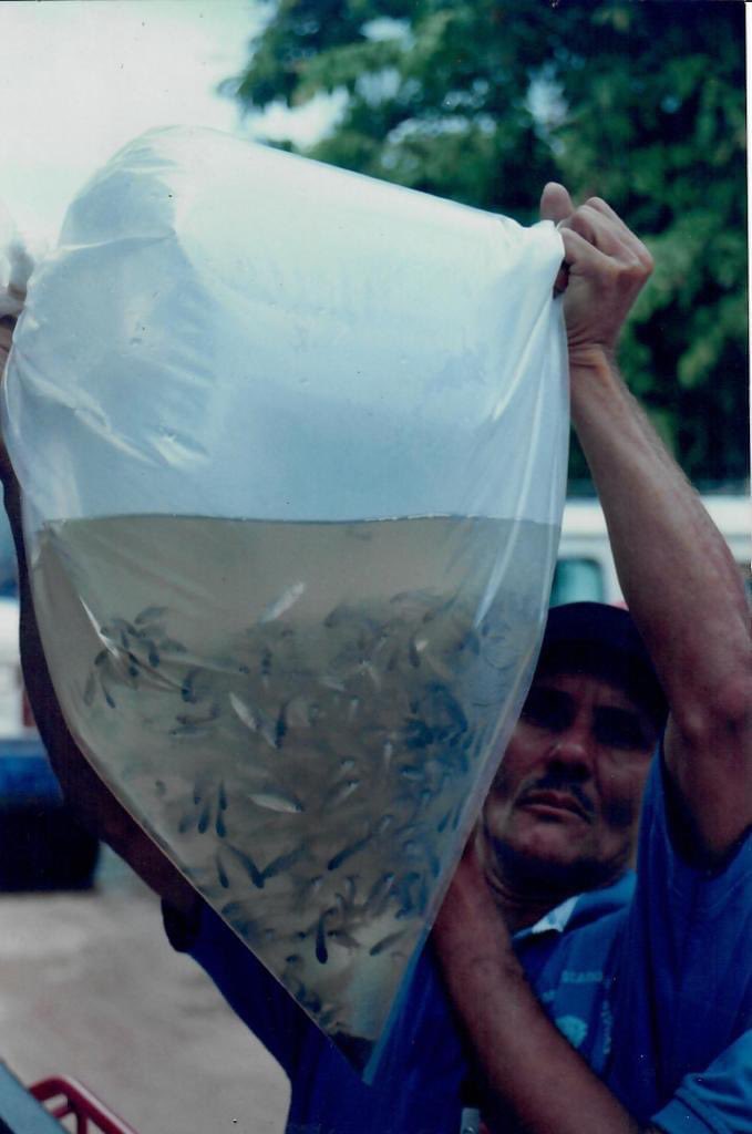 Codesco2's tweet photo. #Tbt Estación piscícola Institución Educativa Agropecuaria José María Herrera (Pivijay - Magdalena)
Hace mas de 15 años se rediseñó con el propósito de mejorar la seguridad alimentaria de pequeños productores agropecuarios mediante siembra de alevinos en jagüeyes de sus parcelas. https://t.co/jGH64L0d5U