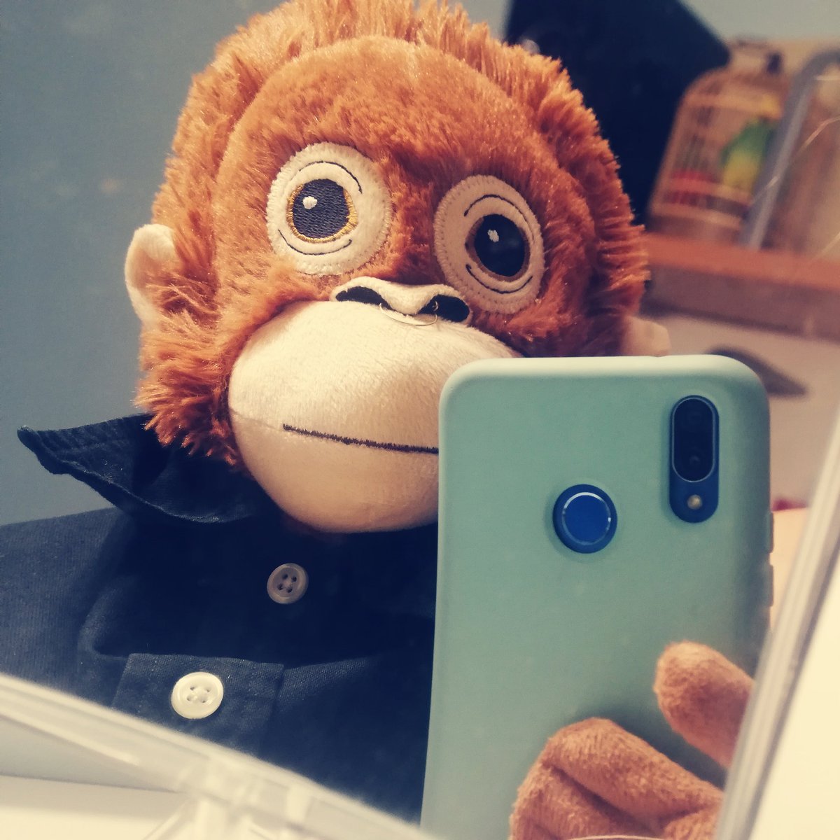 rodolfomonkeyy's tweet photo. #NuevaFotoDePerfil https://t.co/XIkXpoWFXA