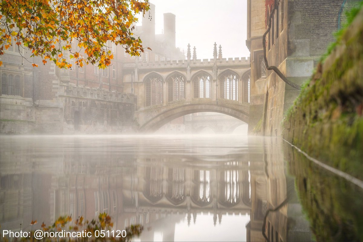Cambridge, 5 November 2020. Photo: @nordincatic.