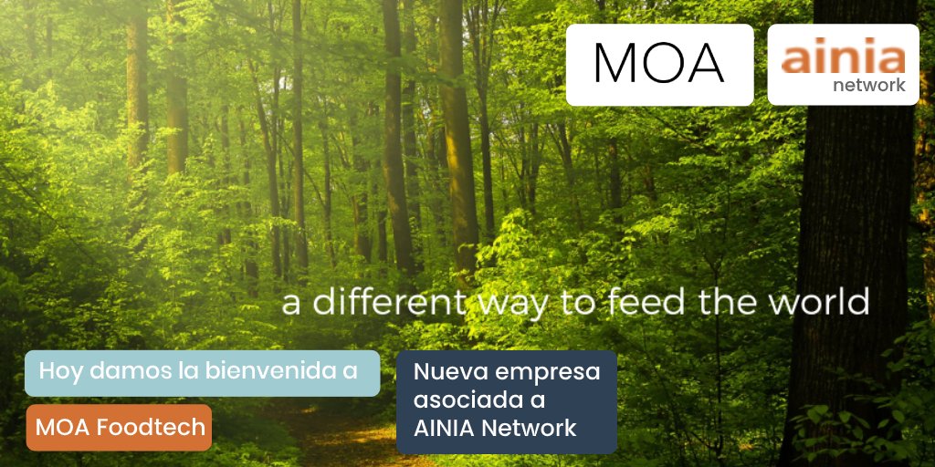 ainiatecnologia's tweet photo. #AINIANetwork da la bienvenida a @FoodtechMoa, como nueva empresa asociada. Su proceso biotecnológico les permite producir un alimento con alto valor nutricional de manera eficiente y sostenible. 

Agradecemos la confianza depositada en nosotros. 

#YoSoyNetwork https://t.co/XuoavYU8yE