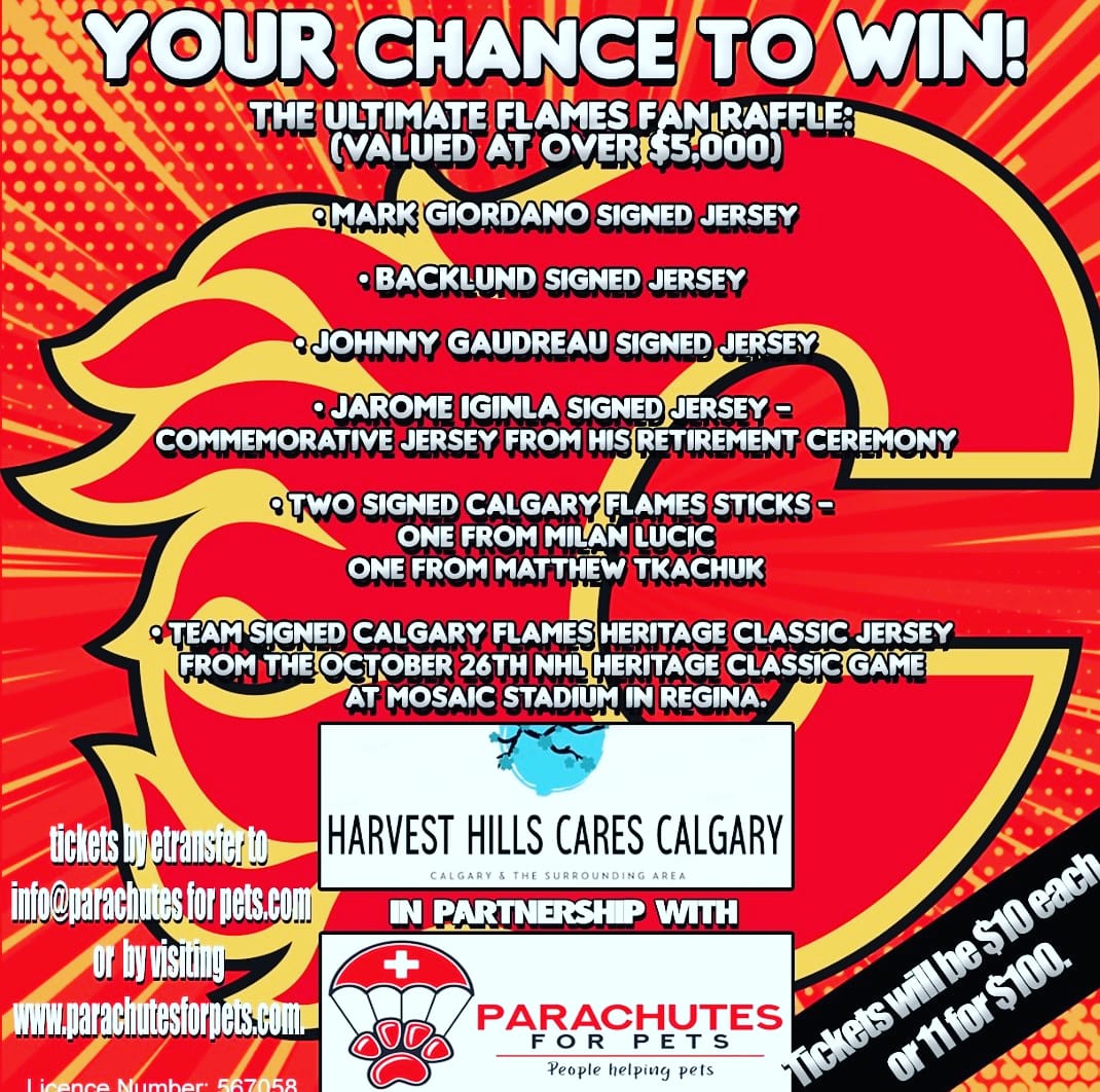 ParachutesP's tweet image. Don't forget to get your raffle tickets! $10 each or 11 for $100. A great opportunity to support to organizations @ParachutesP and @HarvestHillsYYC! 20 great prizes in addition to the Ultimate Flames Package! 
parachutesforpets.com/christmas-camp… #yyc #calgary #calgaryflames #charity #raffle