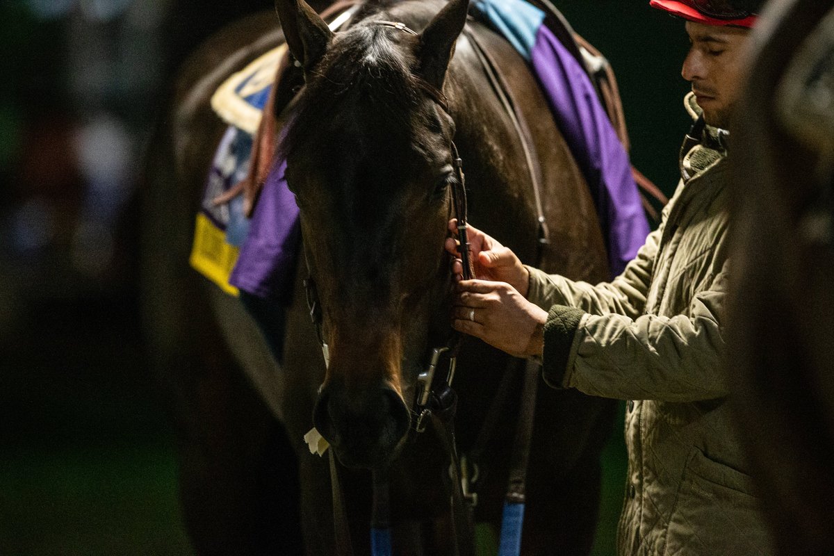 A huge thank you to Ollie's Candy's rider and our rockstar assistant trainer <a href="/JuanLeyva1984/">Juan Leyva</a>  They have made a perfect pair! Images from last year's <a href="/BreedersCup/">Breeders' Cup</a> <a href="/santaanitapark/">Santa Anita Park</a> <a href="/johnwsadler/">John W. Sadler</a> <a href="/TaylorMadeSales/">Taylor Made Farm</a> <a href="/PKRacingSF/">PK Racing</a>