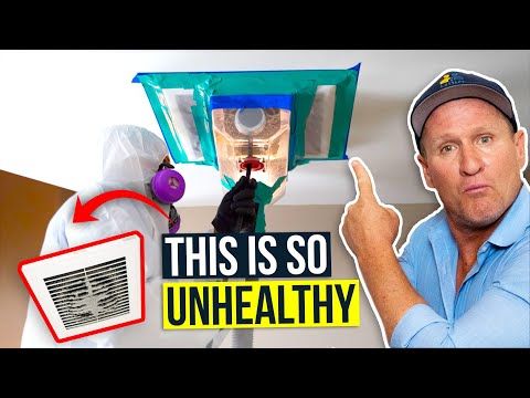 The BEST way to Clean DANGEROUS Mold out of Your Air Duct System - Twin Plumbing

#mold #moldremoval #bathroomremodel #moldremovallosangeles #moldinbathroom #losangelesmoldtesting
buff.ly/38iTHSW