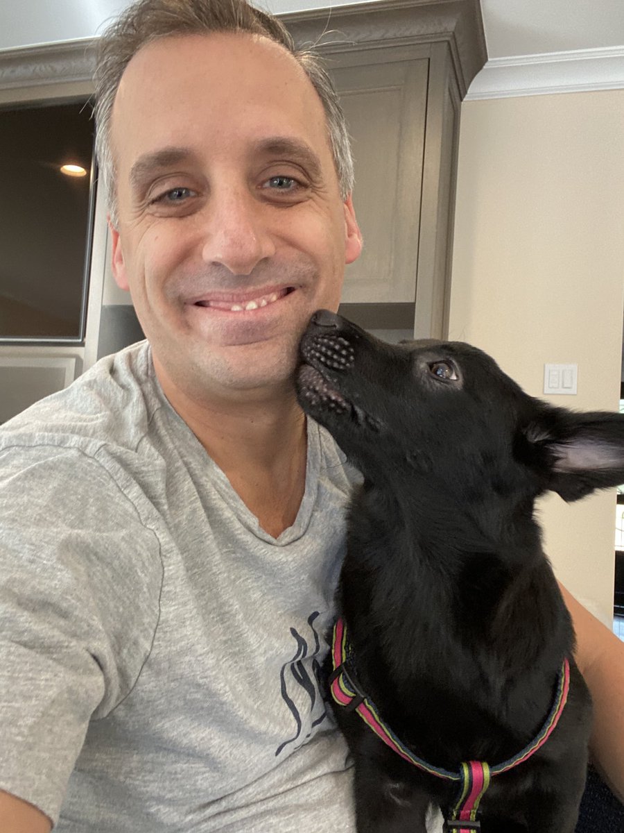 Joe_Gatto's tweet photo. One year ago I rescued this awesome puppy and he has quickly become an important part of the ⁦@gatto_pups⁩ #AdoptDontShop https://t.co/jhEwtYdONQ