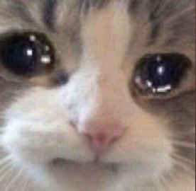 cristinet03's tweet photo. Ya van 4 meses sin superar el ck de Lamar :’D </3 https://t.co/aUYjKiD09h