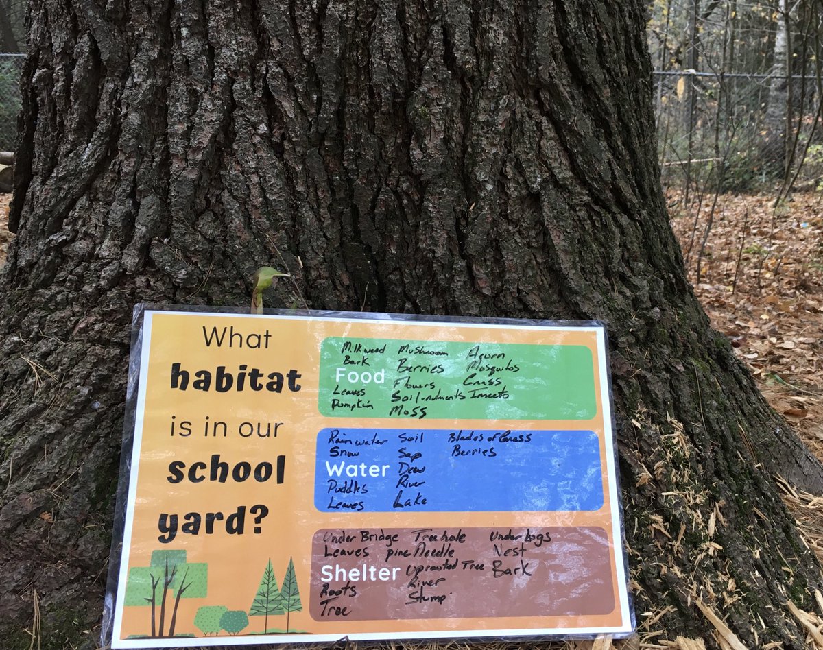 Habitat explorations in the woods of the school yard with ⁦<a href="/LSRCA/">Lake Simcoe CA</a>⁩ ⁦<a href="/GoodfellowPS/">Goodfellow P.S.</a>⁩ ⁦<a href="/SCDSB_Schools/">Simcoe County District School Board</a>⁩